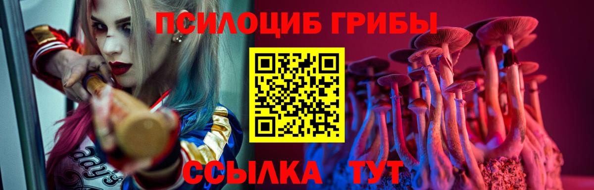Галлюциногенные грибы Psilocybe Серпухов